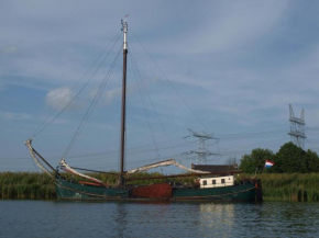 Authentic Ship 